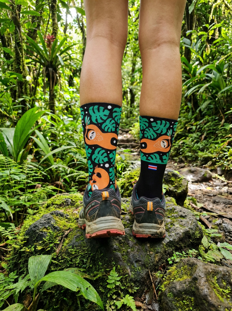 calcetines Perezoso