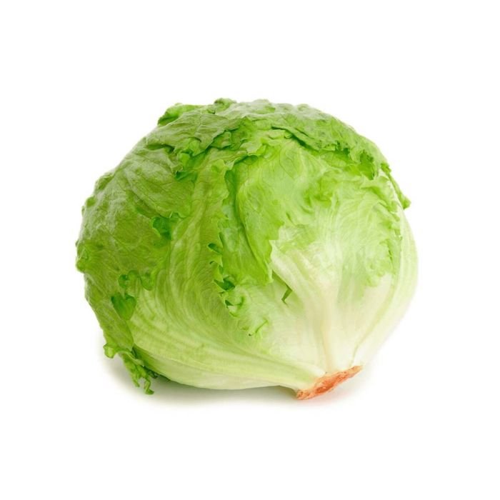 LECHUGA BATAVIA