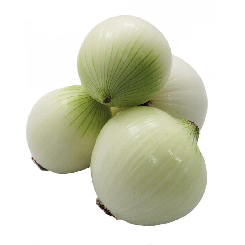 CEBOLLA BLANCA XKG