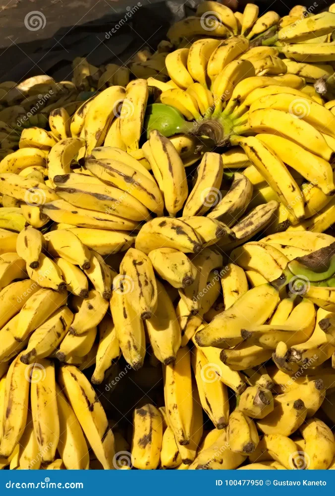 PLATANO MADURO XKG
