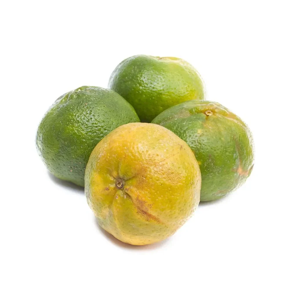 MANDARINA