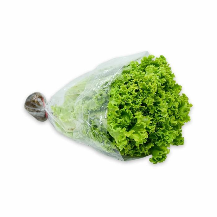 LECHUGA X UND