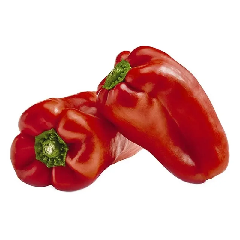 PIMENTON ROJO XKG