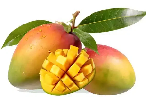 MANGO TOMY XKG