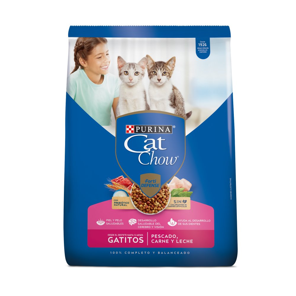 CAT CHOW GATITOS X500GR