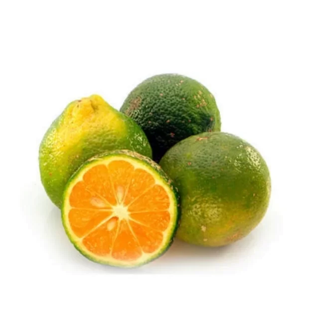 LIMON MANDARINO