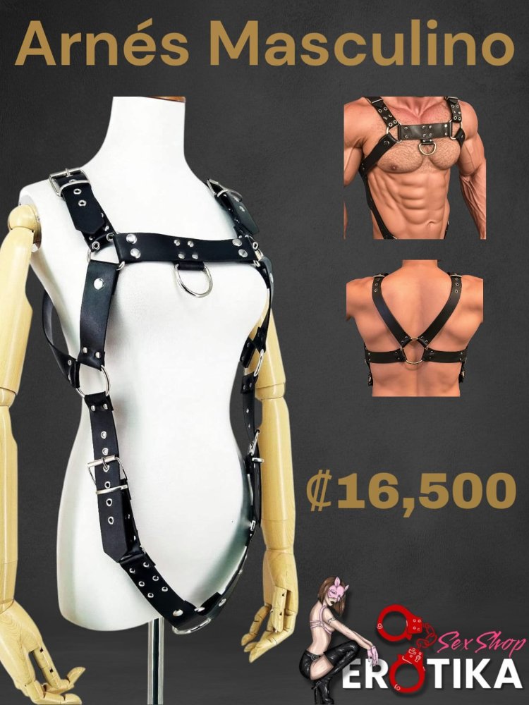 Arnés Masculino