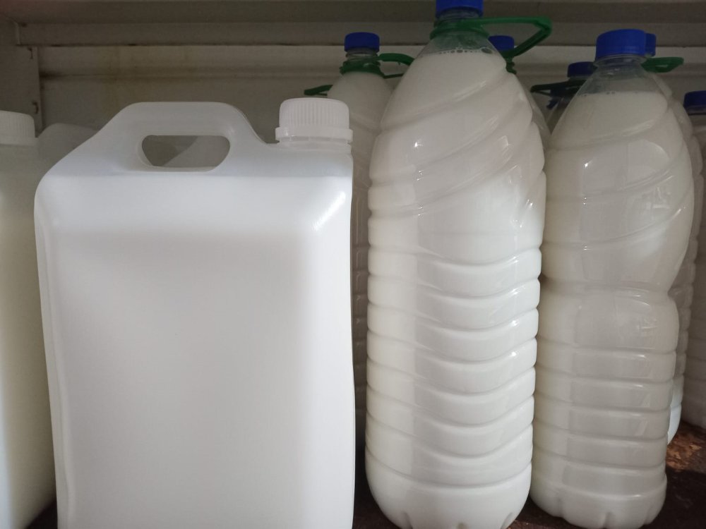 VENENO CIPEMETRINA SUELTO 1L