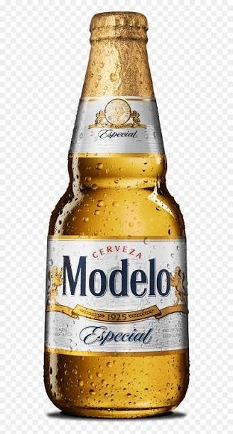 MODELO ESPECIAL 355ml