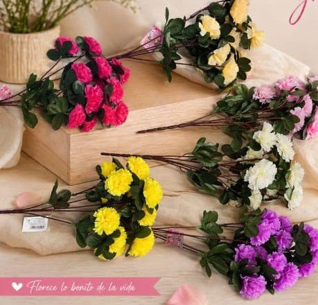 mini clavel