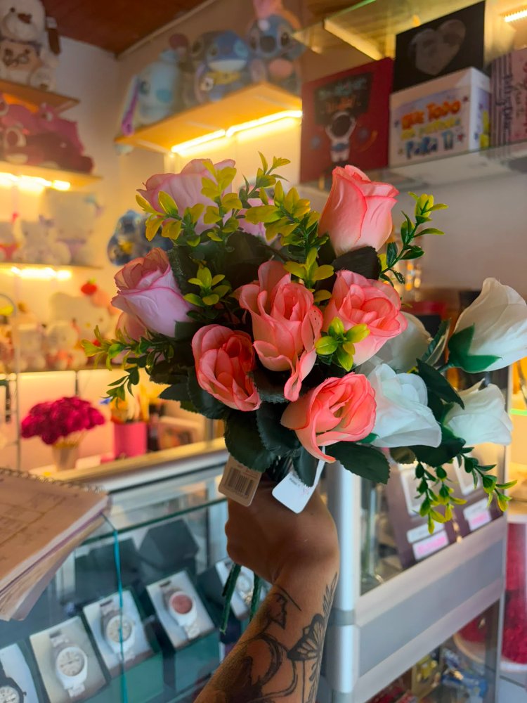 rosa x6