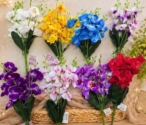 orquideas 5 baras