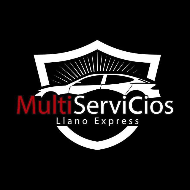 MULTISERVICIOS LLANO EXPRESS
