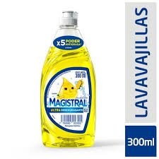 DETERGENTE MAGISTRAL X 300