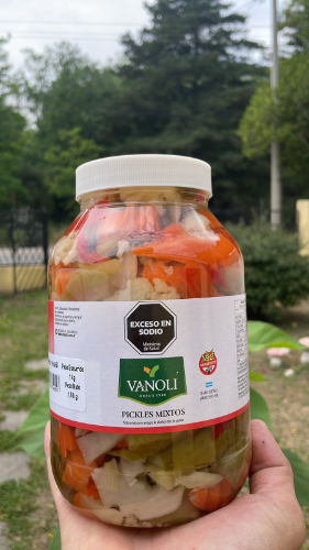 PICKLES MIXTOS VANOLI X 1 KG