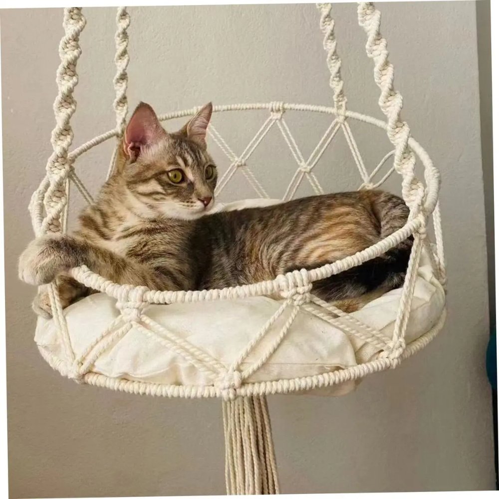 Hamaca colgante gato