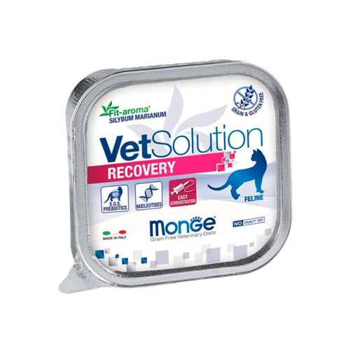 Monge vetSolution cat recovery