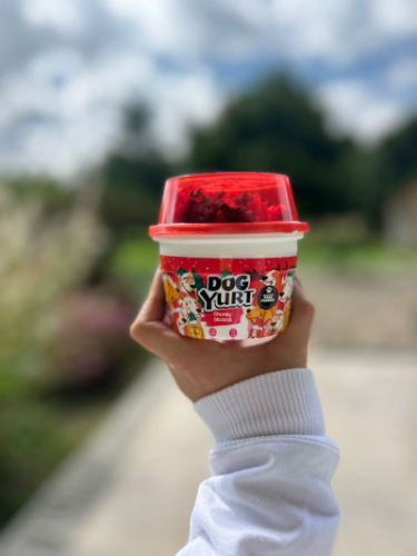 DogYurt Chunky