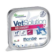 Monge vetSolution canine Recovery