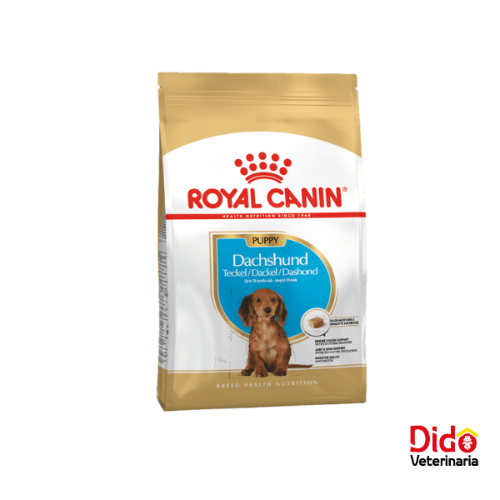 Royal Caninpuppy chiot dachshund teckel 1.13kg