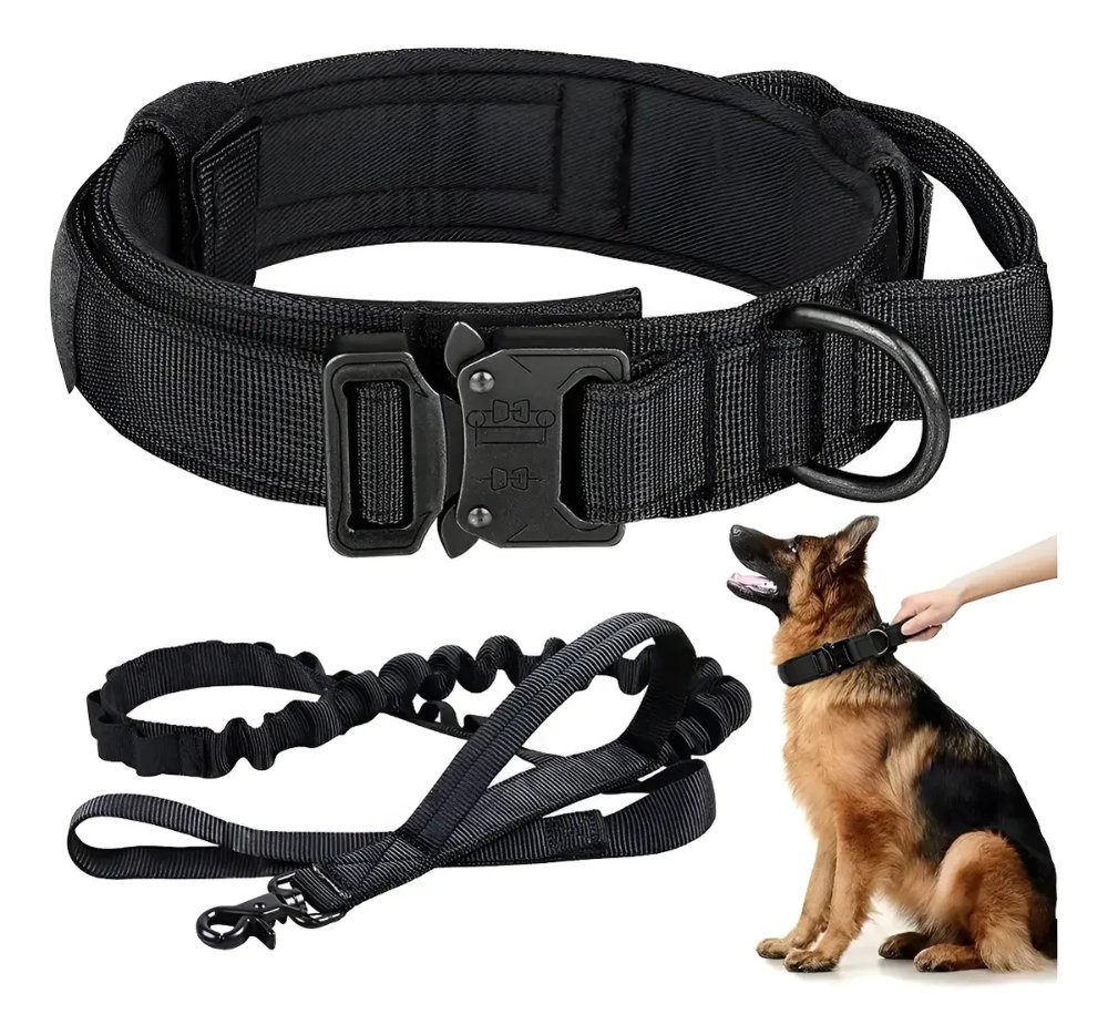 Collar negro con correa táctica con resorte