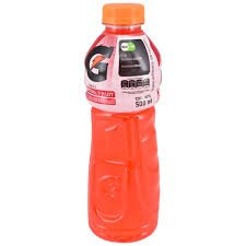 GATORADE PEQUEÑO