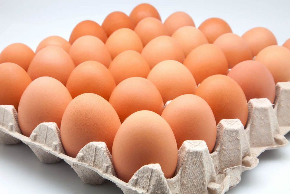 CARTON DE HUEVOS EXTRA