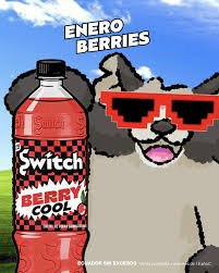 Switch Berry 1.5L