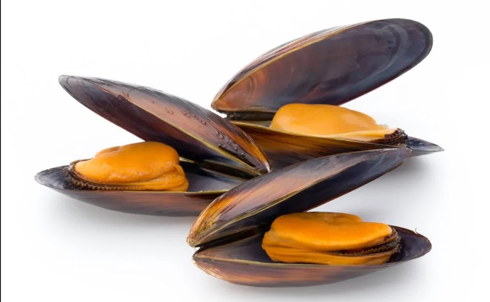 Mejillones