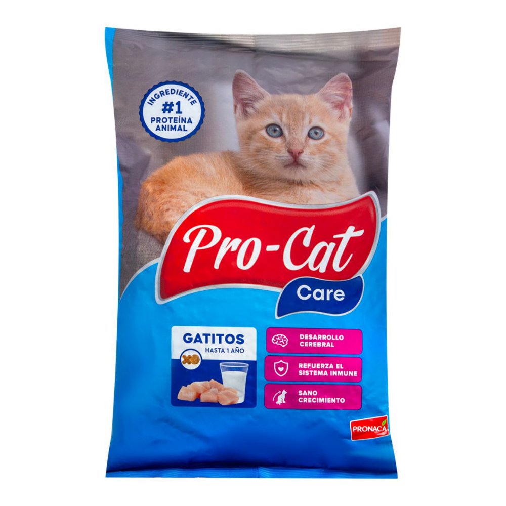 PROCAT GATITOS