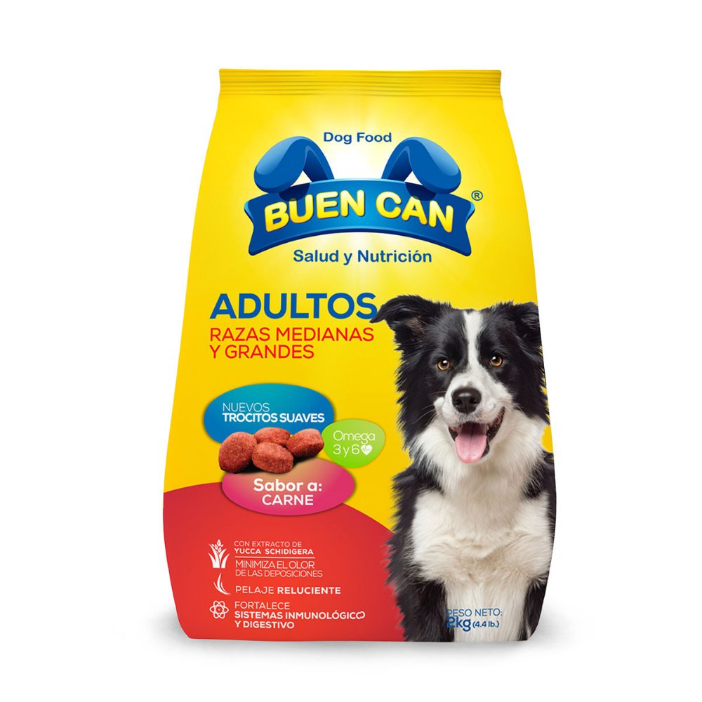 BUEN CAN ADULTO CARNE