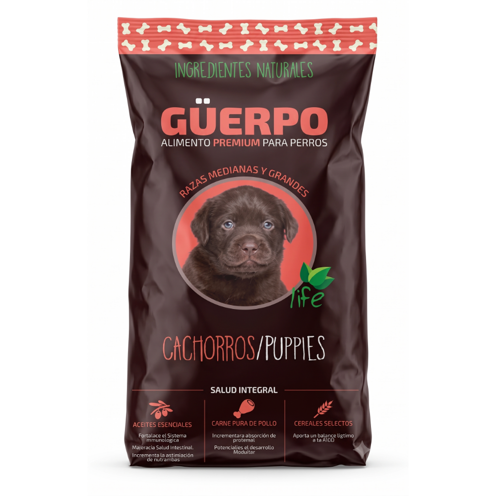GÜERPO CACHORRO