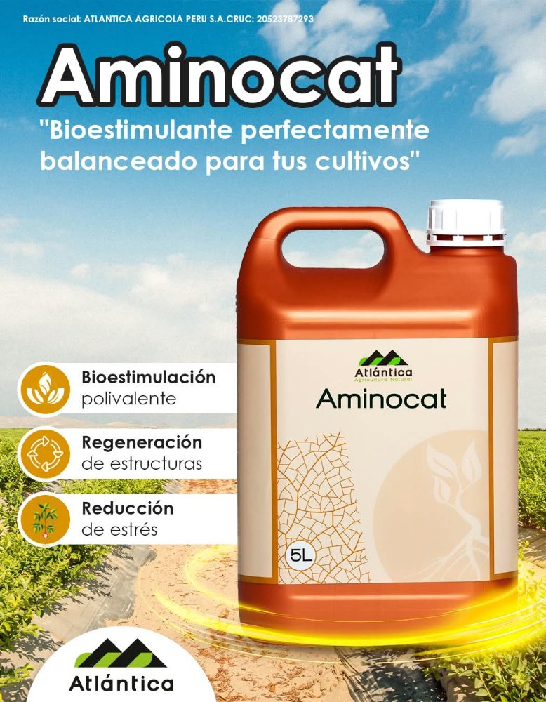 Aminocat / 1 Lt