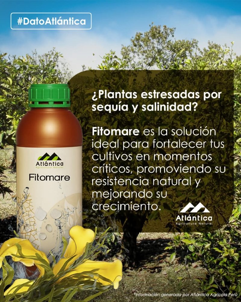 Fitomare / 1 Lt