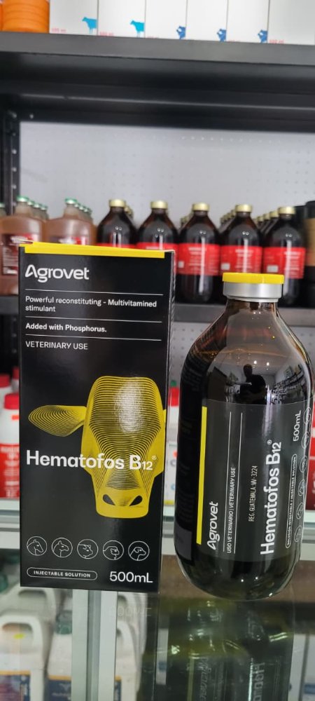 Hematofos B12 / 250 Ml