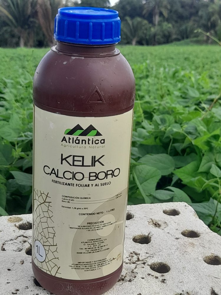 Kelik Calcio-Boro / 1 Lt