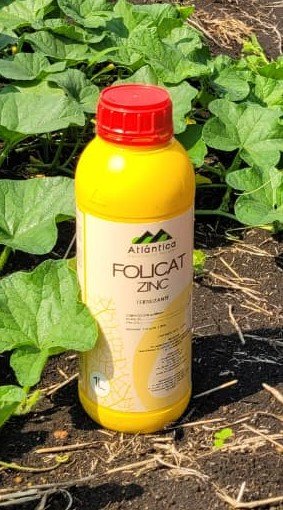 Folicat Zinc / 1 Lt