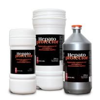 Hepato Protector / 500 Ml