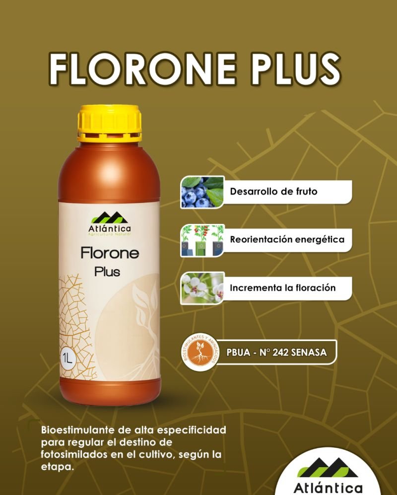 Florone Plus 1.79 SL / 1 Lt