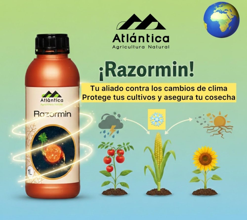 Razormin / 1 Lt