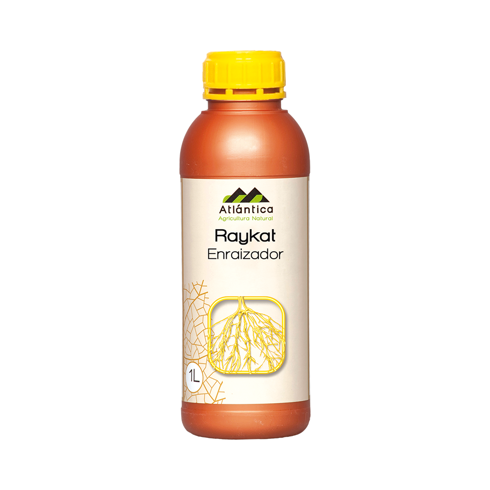 Raykat Desarrollo / 1 Lt