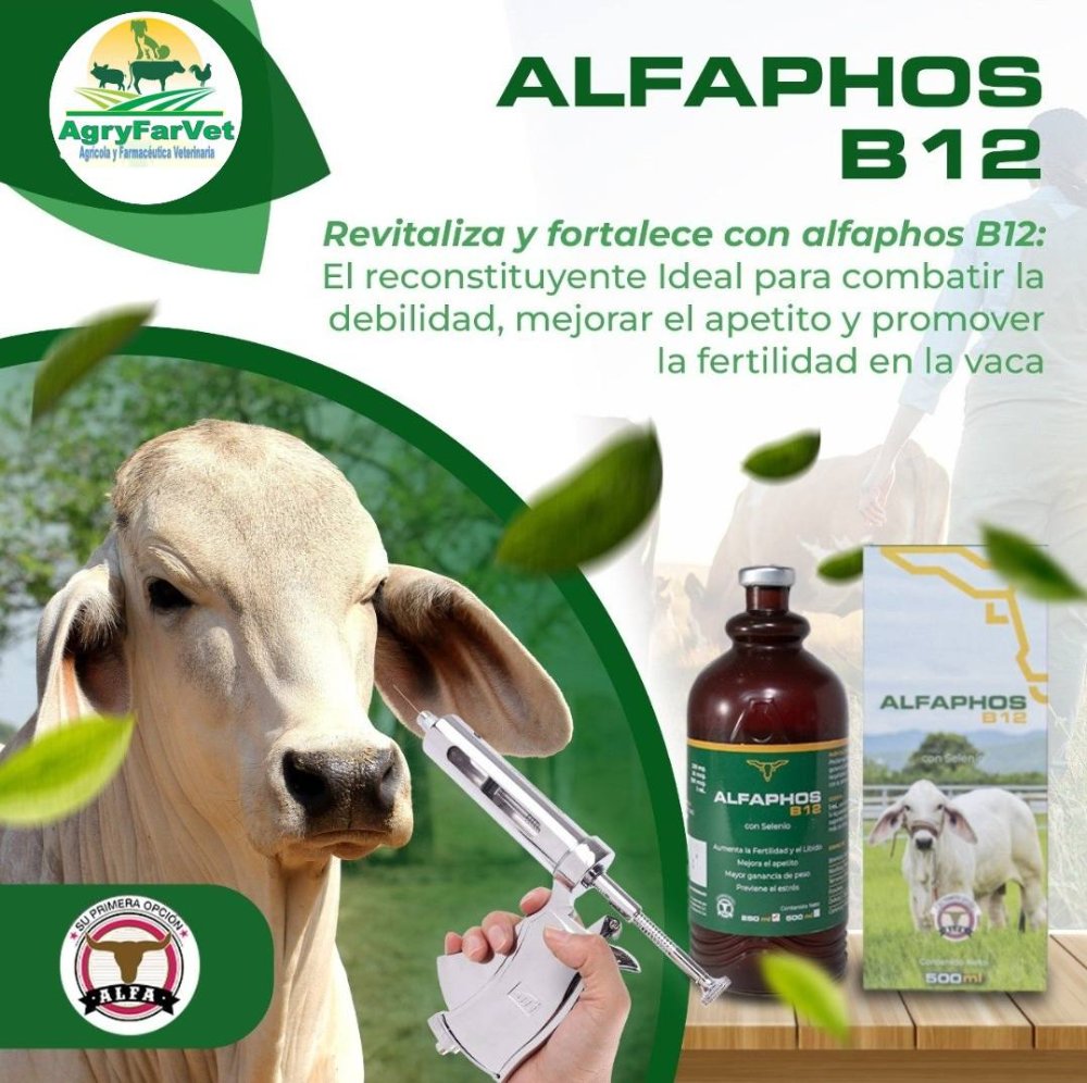 Alfaphos B12 / 250 Ml