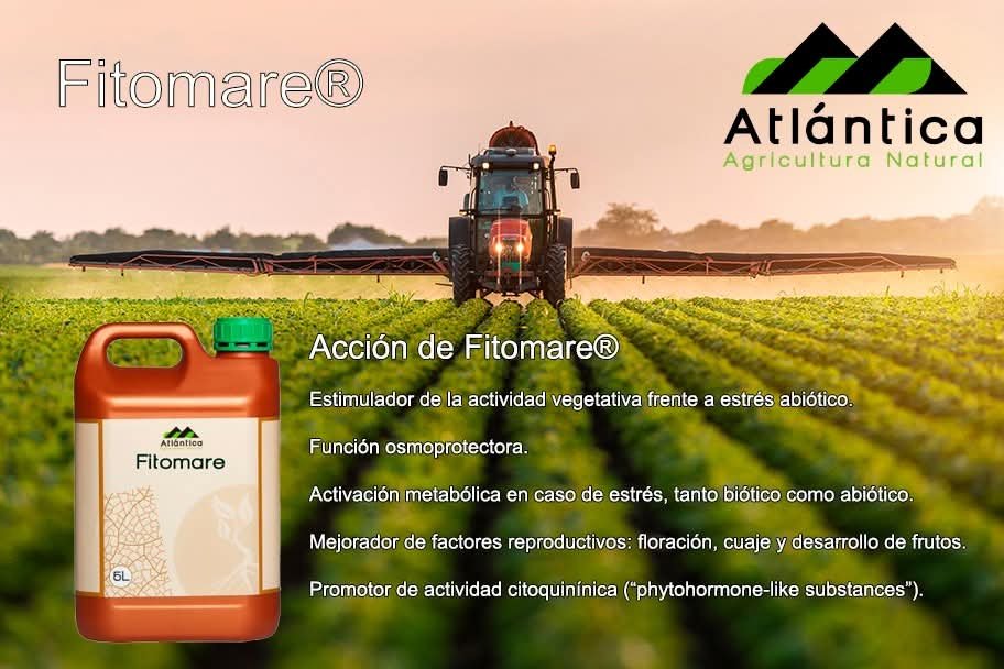 Fitomare / 5 Lts