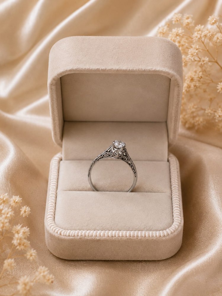 ANILLO DE COMP PARIS (2.48)