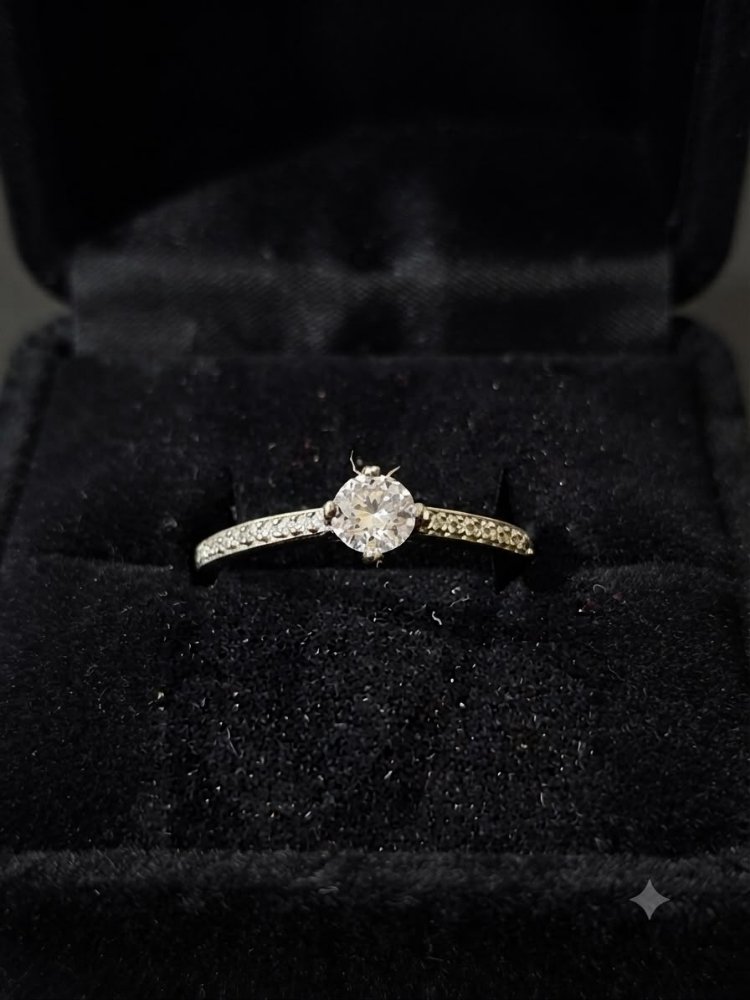ANILLO DE COMP MONTADURA CORA (2)