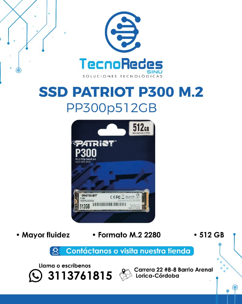 PATRIOT  P 300 SSD M.2   512  GB