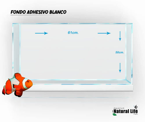 Fondo Adhesivo Blanco NL. | ADB-01.