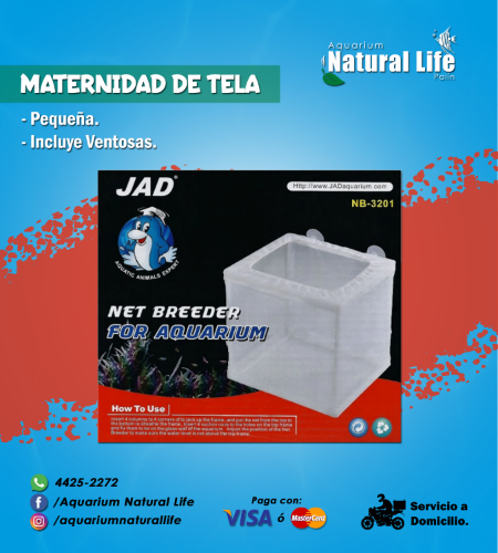 Maternidad de Tela JAD. | NB-3201.