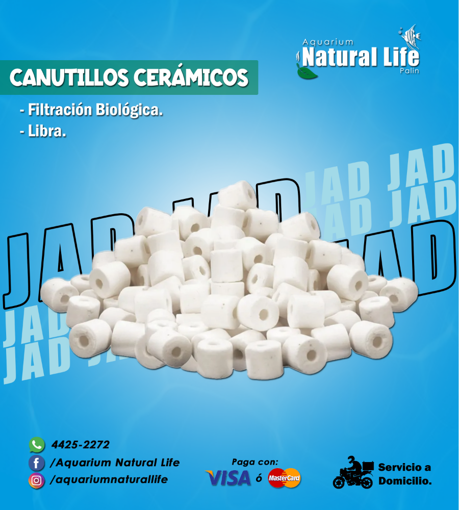 Canutillos a Granel JAD. | CANUT1L.