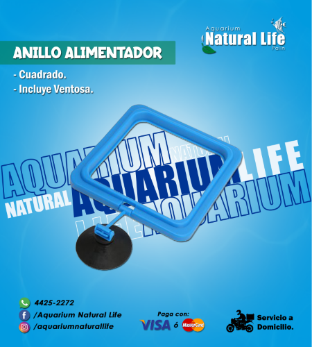 Anillo Alimentador Cuadrado NL. | ANI02.